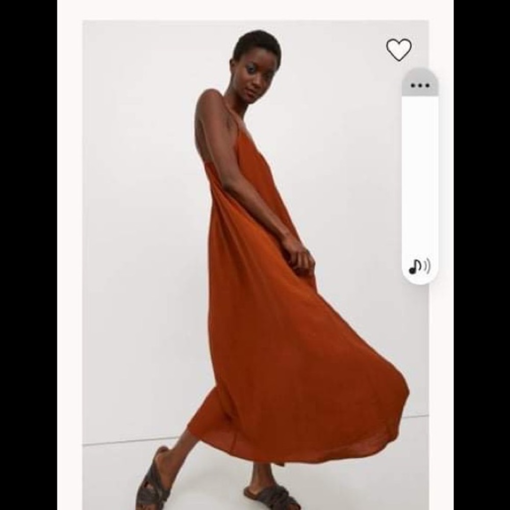 NWT H&M champagne coloured wide long dress